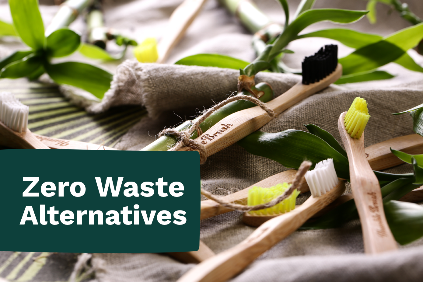 Zero Waste Alternatives