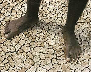 Cracked earth