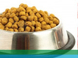 Natural pet food