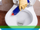 Toilet cleaners