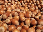 Hazelnut