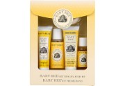 Baby Bee Getting Started Kit