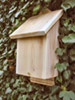 Bat Box