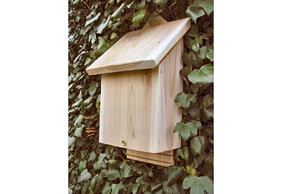 Bat Box