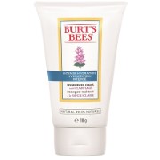 Burt's Bees Intense Hydration Treatment Mask