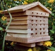 Solitary Beehive