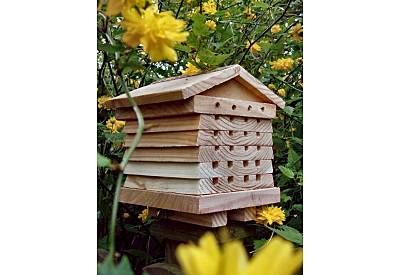 Solitary Beehive