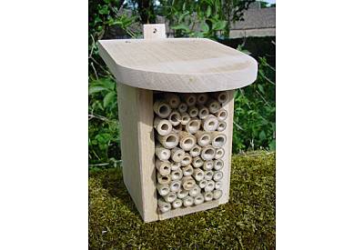Beneficial insect box