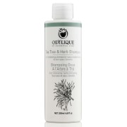 Essential Care Tea Tree & Herb Shampo