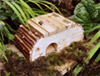 Frog and Toad house