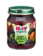 Hipp Organic Apple & Blueberry Dessert