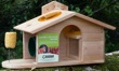 Squirrel Fun House