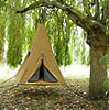 Treepee hanging, swinging tree house