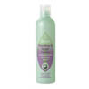 Weleda Rosemary & Ginger Shampoo