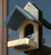 Window Bird Feeder