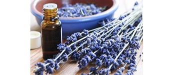 New - Essential Oils | Neal's Yard Aromatherapy