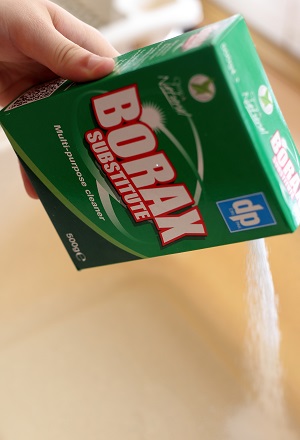 Borax substitute