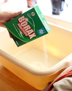 stain removal with borax substitute