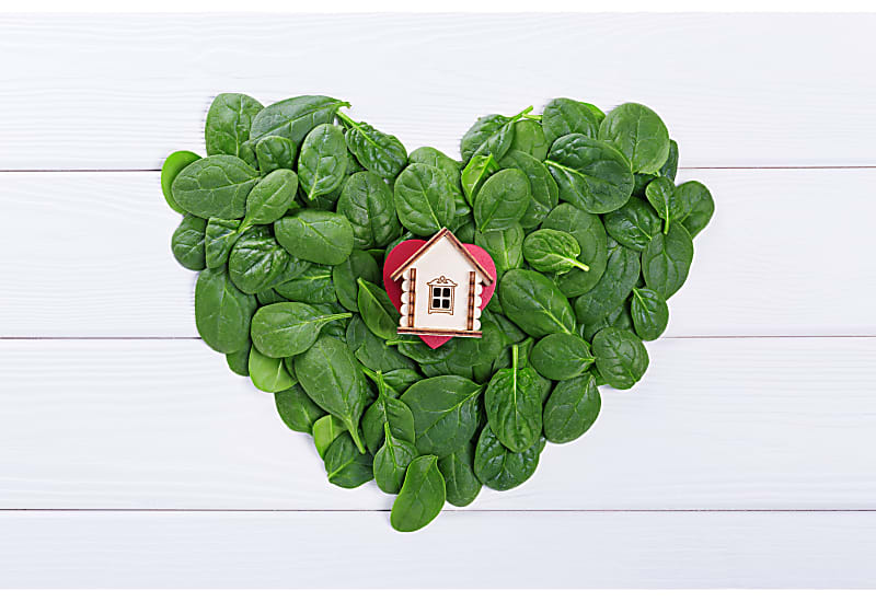 Vegan living - beauty, home and beyond