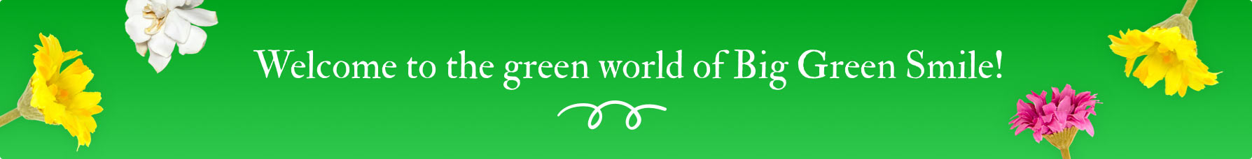 About BigGreenSmile About BigGreenSmile
