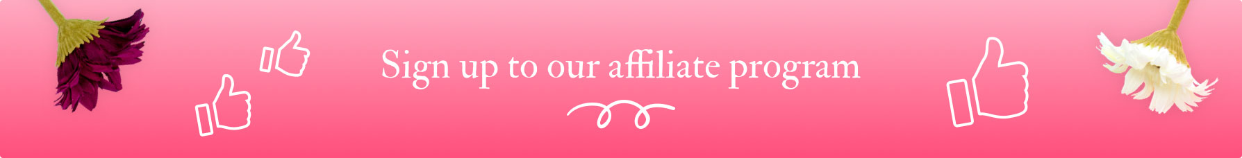 BigGreenSmile affiliate program