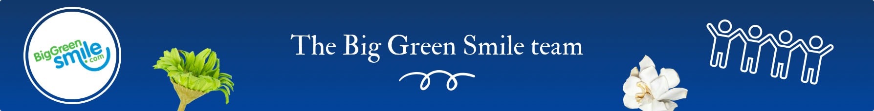 BigGreenSmile Team
