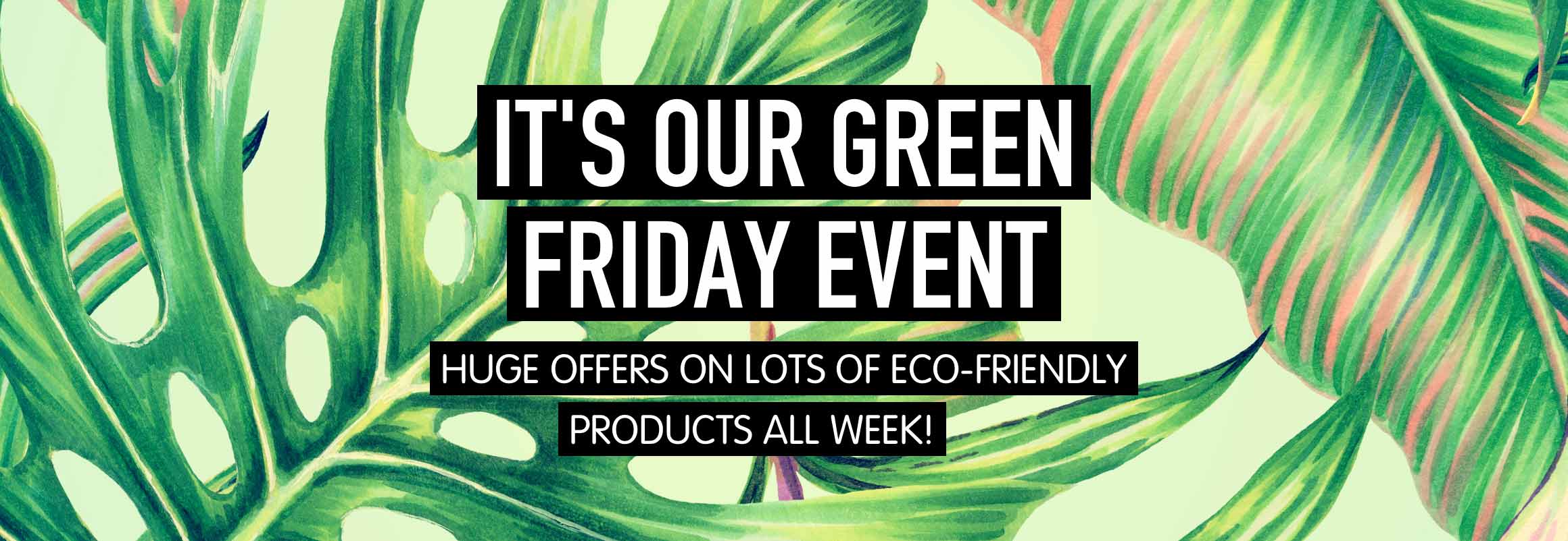 Black Friday Event BigGreenSmile Green offers on BigGreenSmile Black Friday