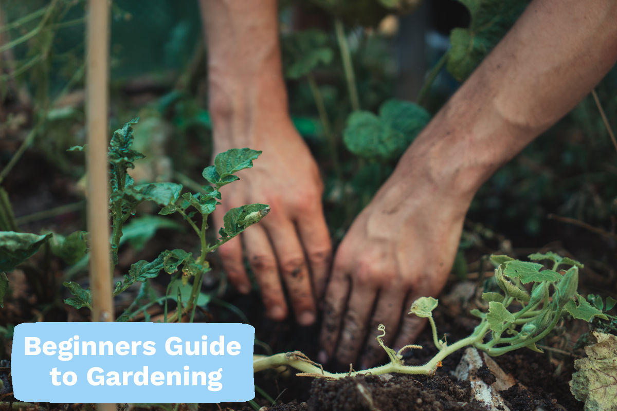 Gardening