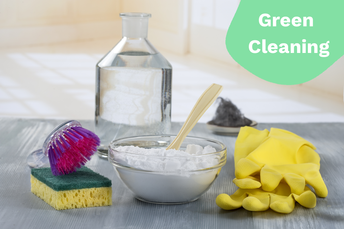 Kitchen Cleaning Archives - Blogs on Pest Control Treatments, Home Cleaning  Tips & Ideas