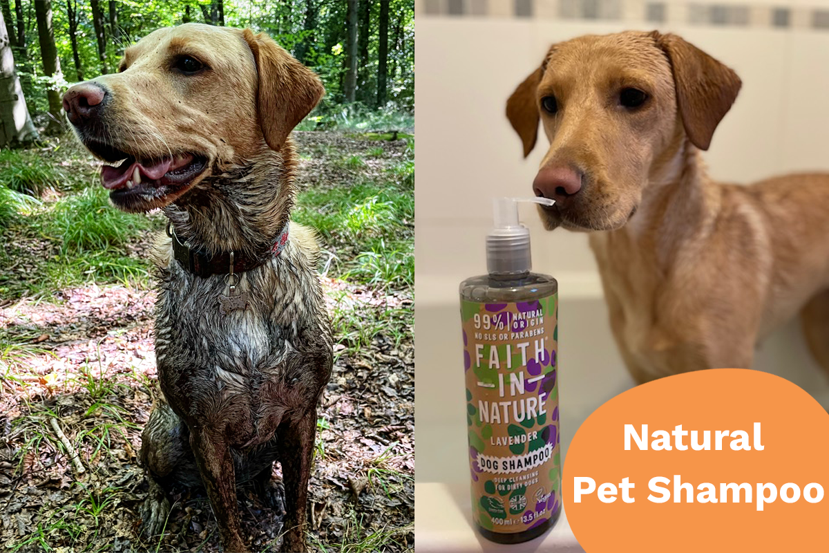 what is the best puppy shampoo to use