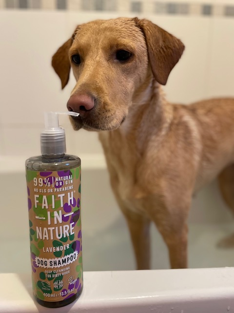 Natural Dog Shampoo Natural Dog Shampoo
