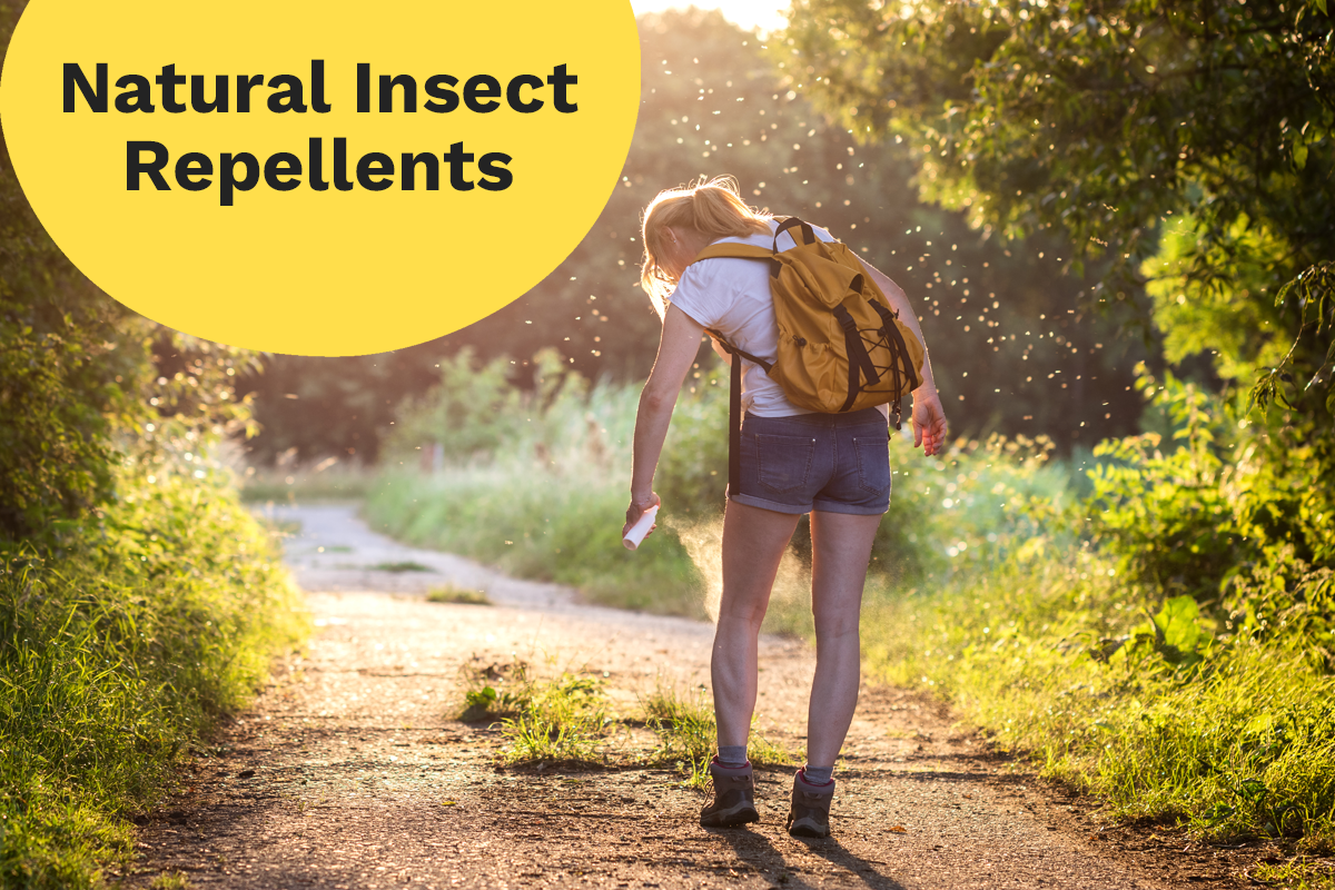 natural mosquito and insect repellent