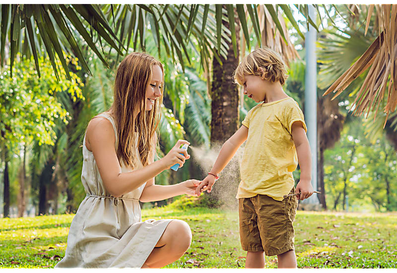 natural mosquito and insect repellent