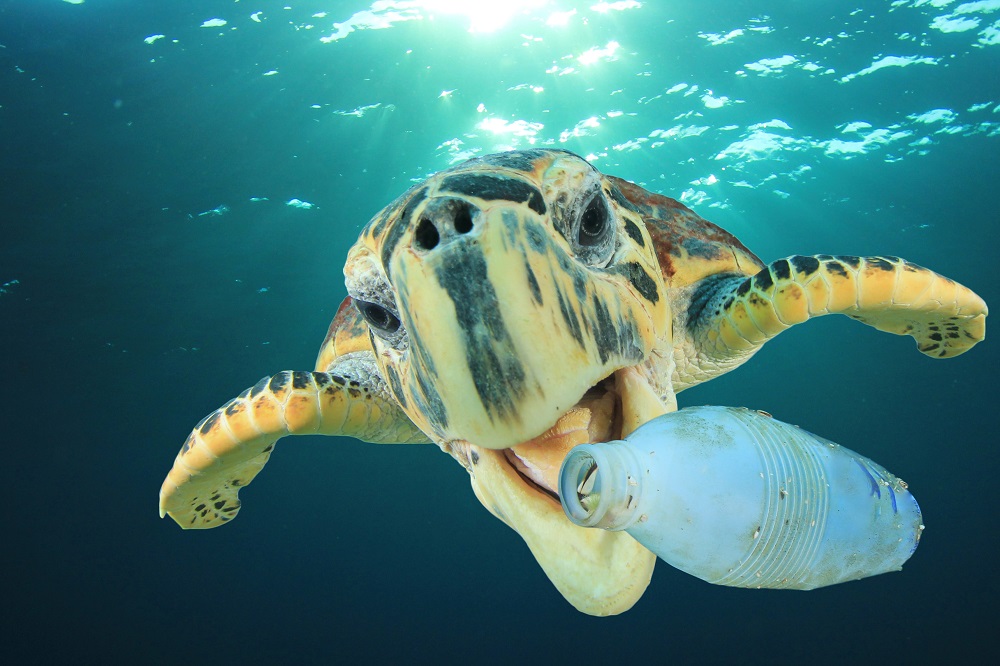 plastic free week