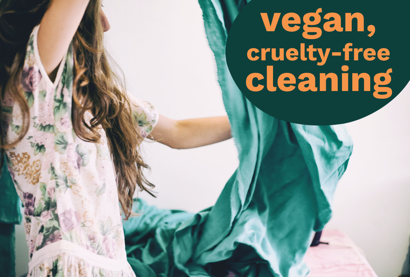 Vegan Cleaning 