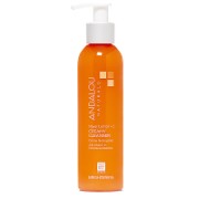 Andalou Meyer Lemon and C Creamy Cleanser