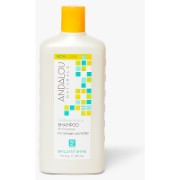 Andalou Sunflower & Citrus Brilliant Shine Shampoo