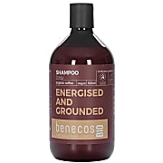 Benecos BIO Energised and Grounded Shampoo