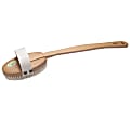Canal Bath Brush with detachable handle