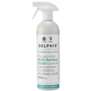 Delphis Eco Professional Multi Surface Polish