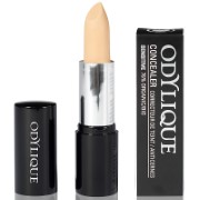 Odylique Natural Mineral Concealer