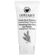 Odylique by Essential Care Gentle Herb Shampoo - 20ml Travel size