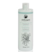Odylique by Essential Care Tea Tree & Herb Shampoo 500ml