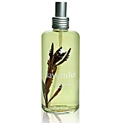 Jimmy Boyd Perfume - Lavender