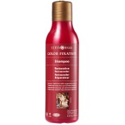 Surya Brasil Colour Fixation Restorative Shampoo