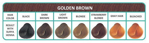 SBHENCREAMGOLDBROWNCOLCHART Surya Brasil Golden Brown