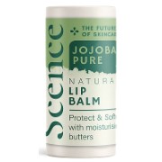 Scence Lip Balm - Jojoba Pure