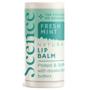 Scence Jojoba Lip Balm - Fresh Mint