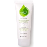 Skinfood Cleans All Cleanser