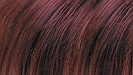 Mahogany Chestnut Natural Hair Dye Hair dye sample image
